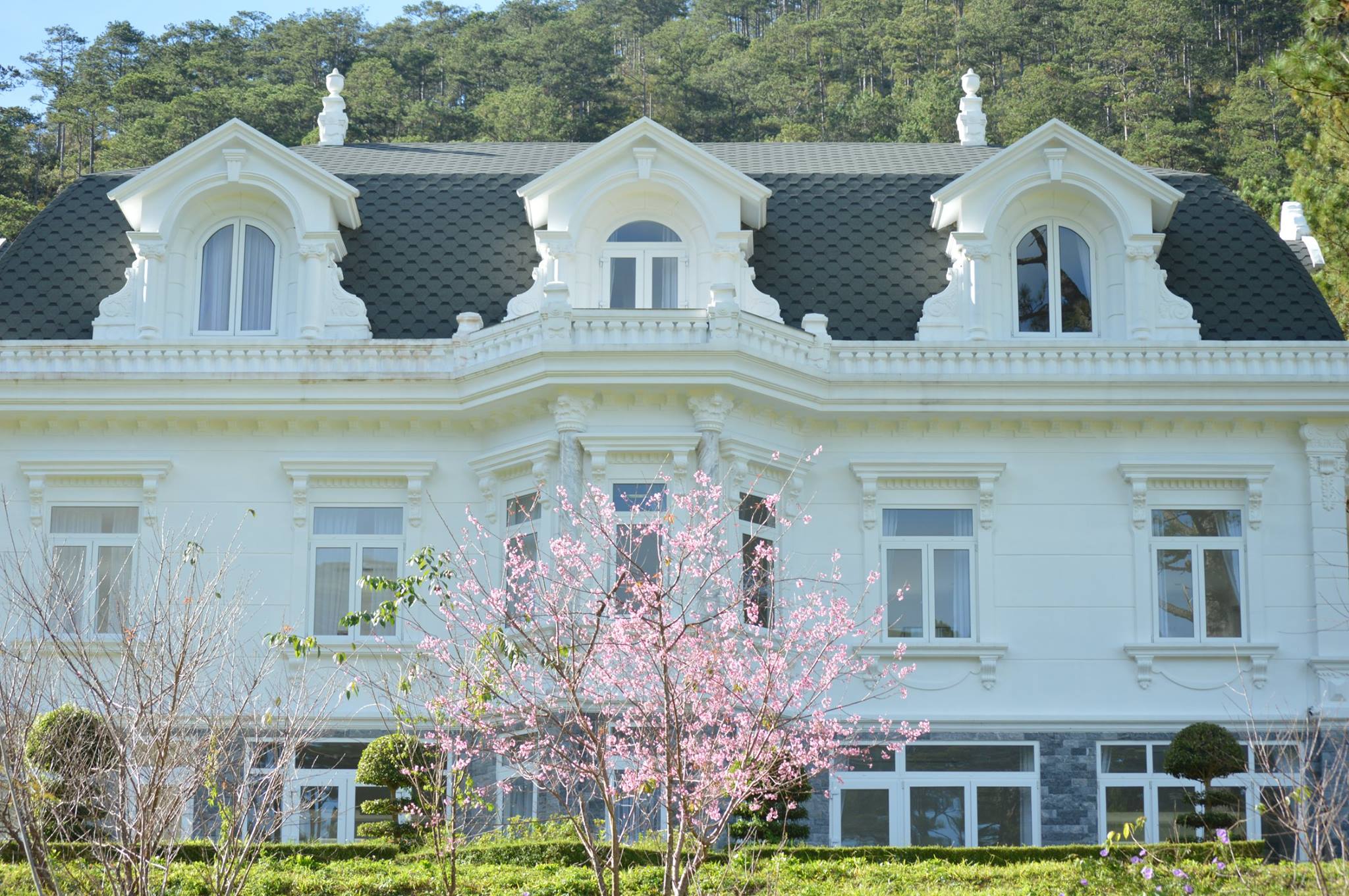 Ảnh: Fb Swiss-Belresort Tuyen Lam Da Lat