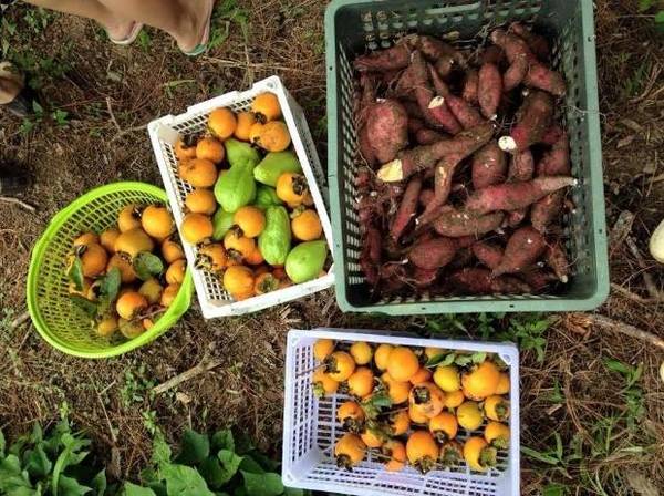 Thành quả chuyến ngắm lá phong Đà Lạt