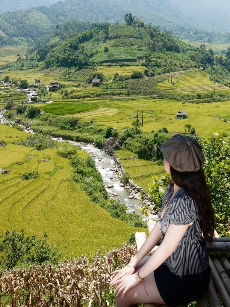 Khung cảnh ruộng bậc thang ngắm lúa chín Sa Pa tại Nậm Cang