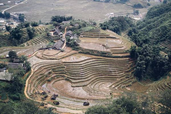 Ruộng bậc thang Mường Hoa trên đường chinh phục Fansipan
