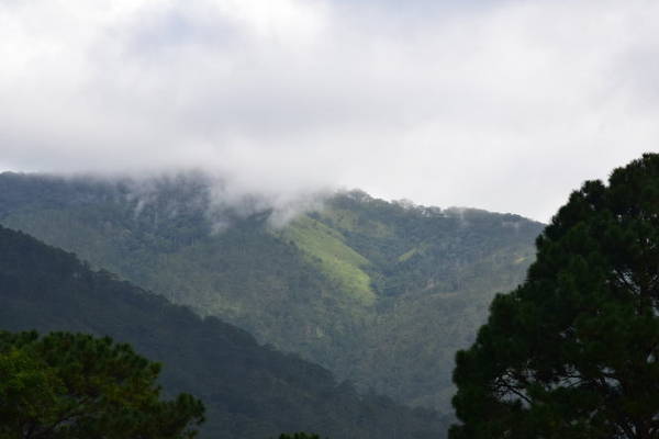 Cảnh đẹp khi trekking ngắm phong Bidoup
