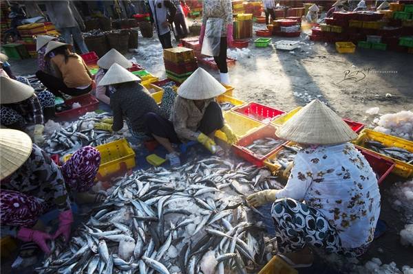 Cảng cá Long Hải là nguồn cung cấp hải sản chính của khu vực lân cận, trong đó có thành phố Hồ Chí Minh