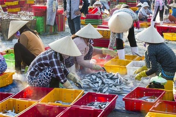 Những người phụ nữ làm công việc phân loại hải sản tại cảng cá Long Hải