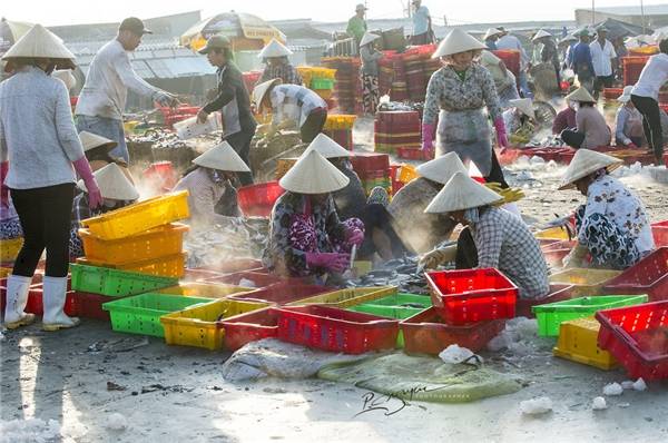 Mọi khâu tại cảng cá Long Hải đều được chuyên nghiệp hóa nên rất nhanh chóng và thuận lợi