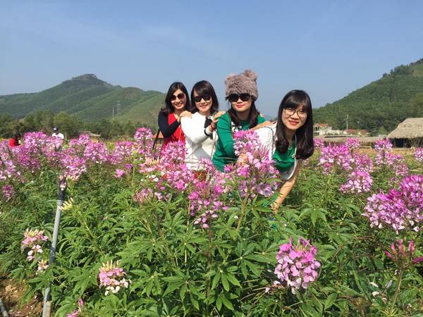 Thiên đường hoa Quảng La rộng 25ha với phong cảnh sơn thủy hữu tình, đồi núi và sông nước