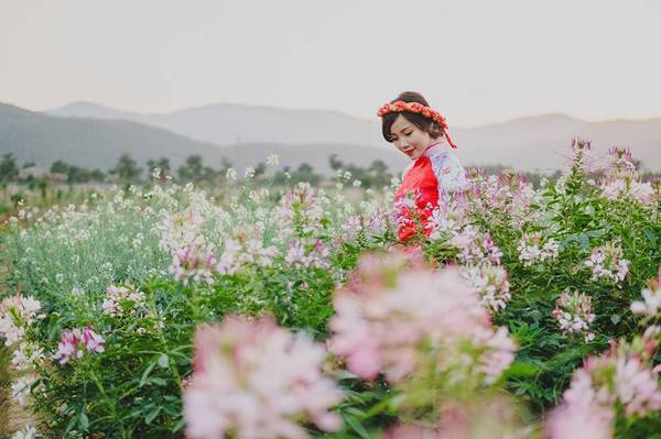 Thiên đường hoa Quảng La trồng nhiều loại hoa đặc biệt cho bức ảnh lung linh