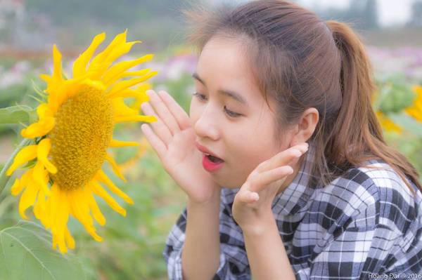 Thiên đường hoa Quảng La điểm check-in mới toanh của giới trẻ Quảng Ninh.
