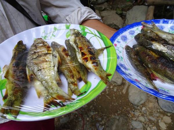 Đồ ăn trong khu du lịch dao động từ 80.000 đến 150.000 đồng. Các loại nước suối, bia, nước ngọt cũng có giá mềm. Du khách được phép mang thức ăn ở ngoài vào, có thể mua củi để nướng đồ ăn và dùng nước sạch để rửa.