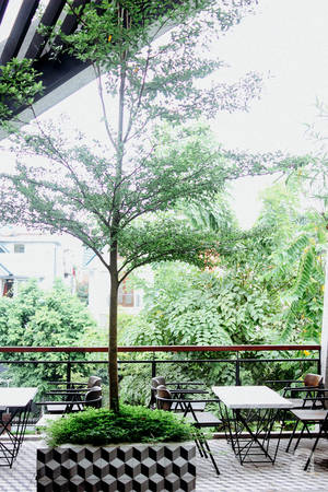 nghi-2-9-neu-khong-di-dau-xa-check-list-cac-quan-cafe-cuc-xinh-nay-o-ha-noi-cung-du-da-roi-ivivu-26