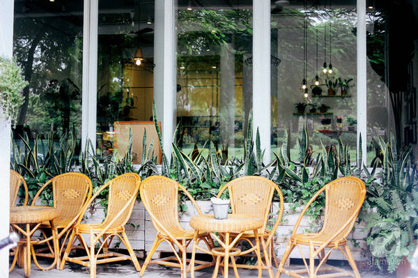 nghi-2-9-neu-khong-di-dau-xa-check-list-cac-quan-cafe-cuc-xinh-nay-o-ha-noi-cung-du-da-roi-ivivu-29