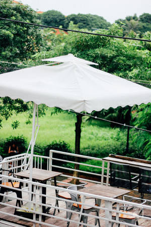 nghi-2-9-neu-khong-di-dau-xa-check-list-cac-quan-cafe-cuc-xinh-nay-o-ha-noi-cung-du-da-roi-ivivu-47