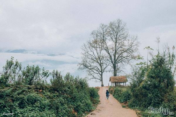 Con đường dài hun hút phủ mây tại Y Tý Lào Cai