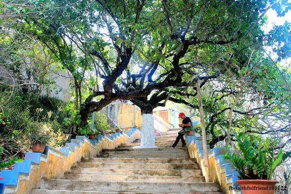 Rừng cây bao phủ chùa Linh Sơn Phú Quý
