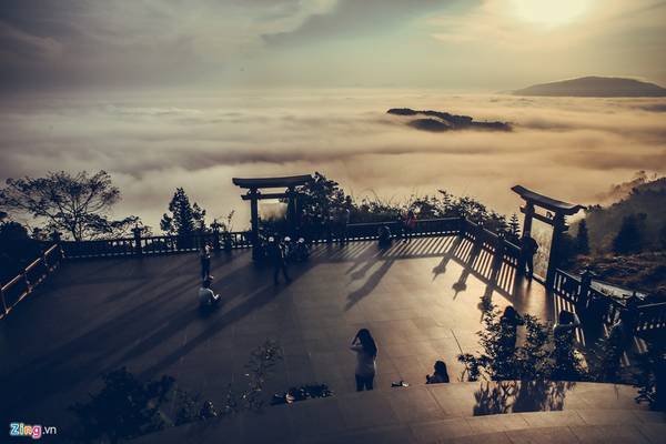 Khuôn viên rộng 40 ha của chùa Linh Quy Pháp Ấn bao phủ bởi rừng cây và đồi chè