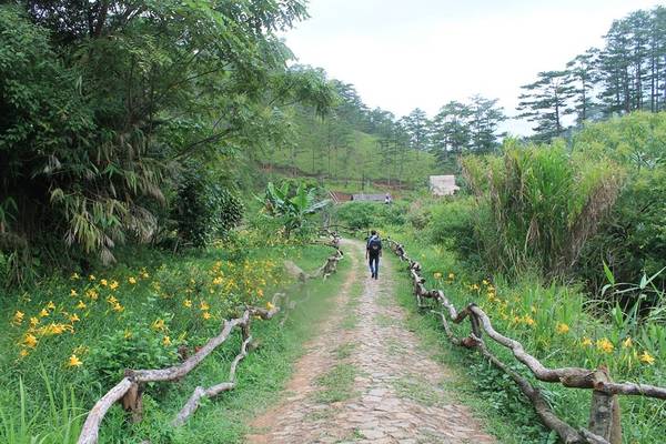 Từ xa nhìn lại, làng Cù Lần Đà Lạt như một bức tranh sơn thủy hữu tình với những mảng màu xanh ngắt của rừng, hồ nước và những mái nhà dân tộc K’ho