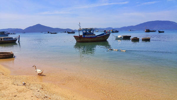 Cuộc sống ngư dân trên đảo Điệp Sơn