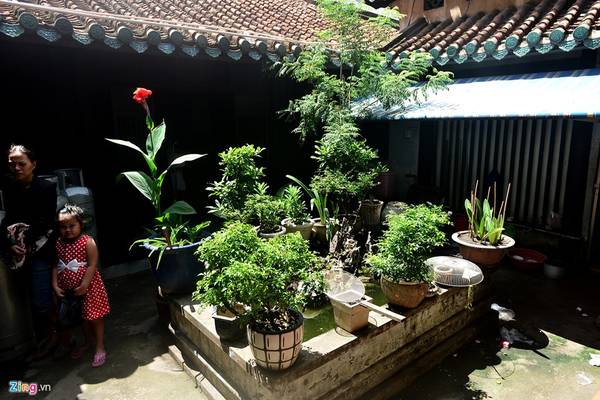 Khu giếng trời phía sau ngôi nhà vẫn còn một bể cá trước đây cụ Vương Hồng Sển nuôi. Khi cụ còn sống, khuôn viên căn nhà rợp bóng cây xoài, sa pô chê, sầu riêng và những cây mai cổ thụ.