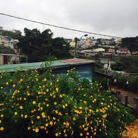 View từ Nhà Gió Đà Lạt nhìn ra biệt thự