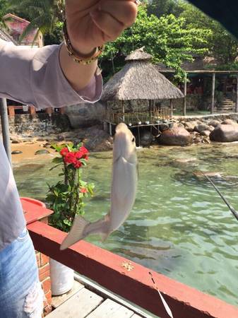 Món ăn đặc sản Nhà hàng Bảy Ban