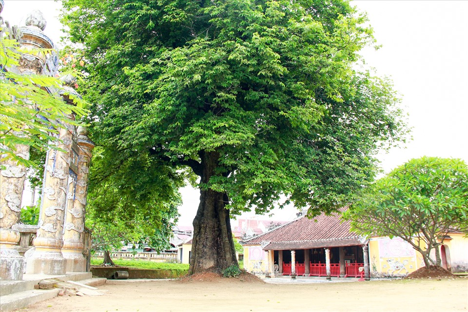 Đình làng Dương Nỗ gắn liền tuổi thơ Bác Hồ
