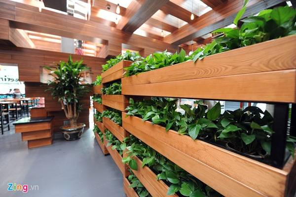 Mảng xanh thiên nhiên bên trong nhà hàng độc lạ ở Hà Nội
