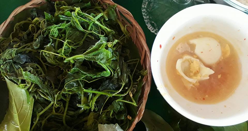 Đọt nhãn lồng luộc