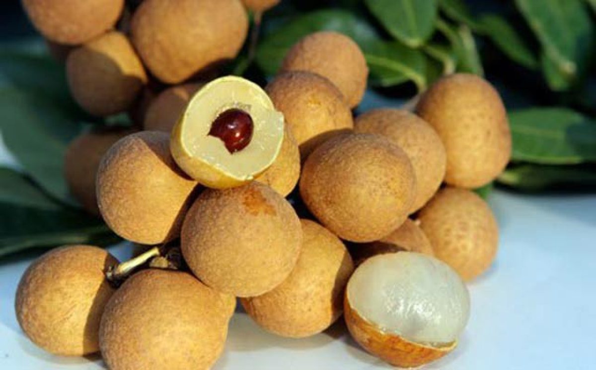 nhan-long-hung-yen-ivivu