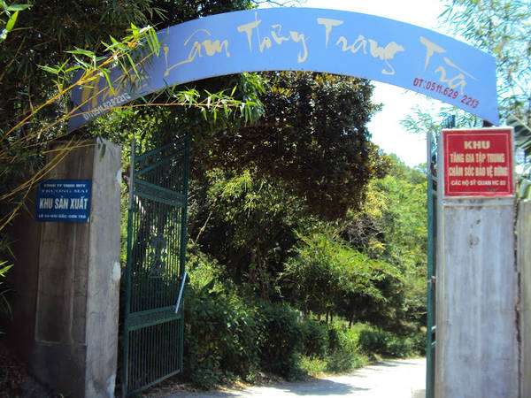 Đường vào Nhất Lâm Thủy Trang Trà Sơn Trà