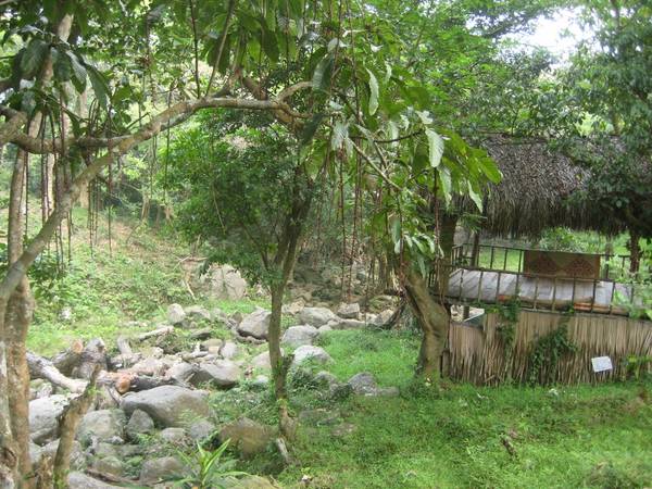 Suối Nai gần Nhất Lâm Thủy Trang Trà