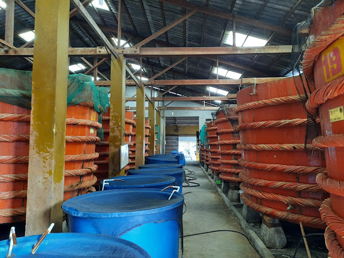 Nhà thùng nước mắm Thịnh Phát Phú Quốc