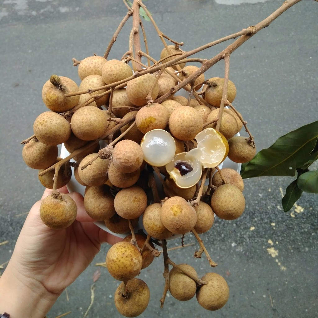 Nhãn da bò đặc sản Bạc Liêu