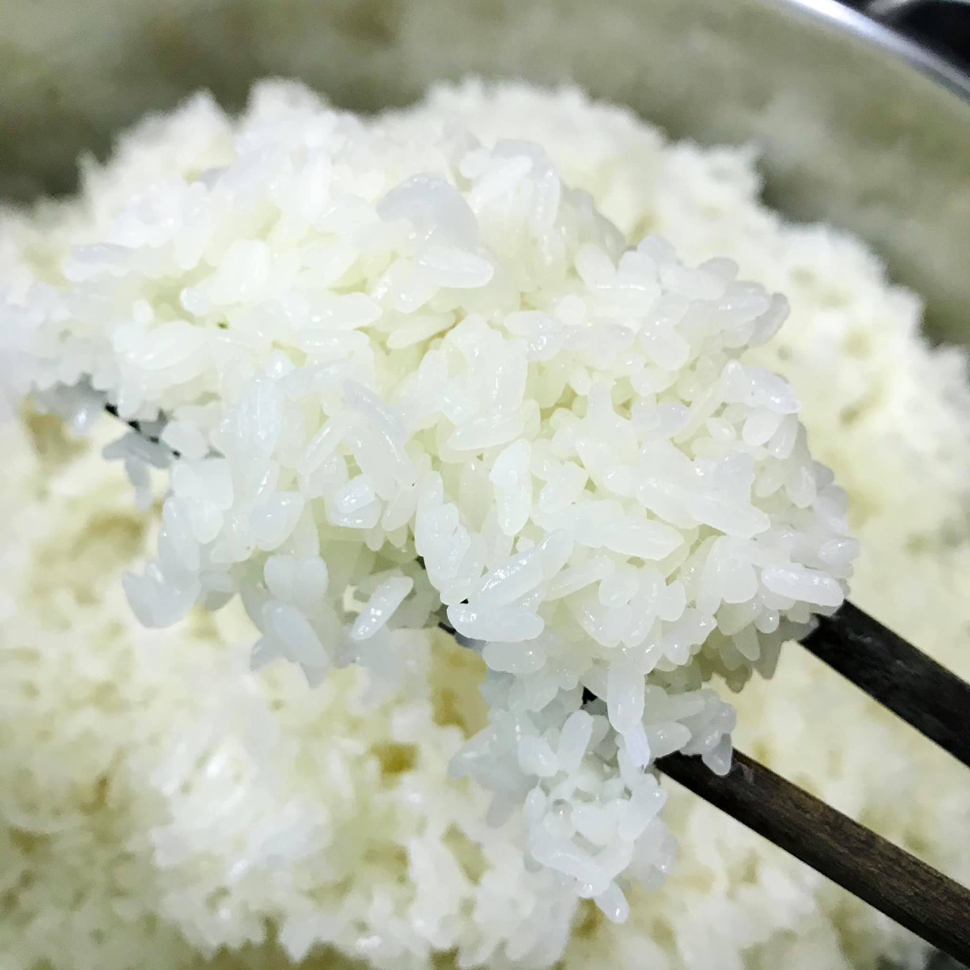 Phần nếp ăn cùng nhộng ong đất dầm trám đen
