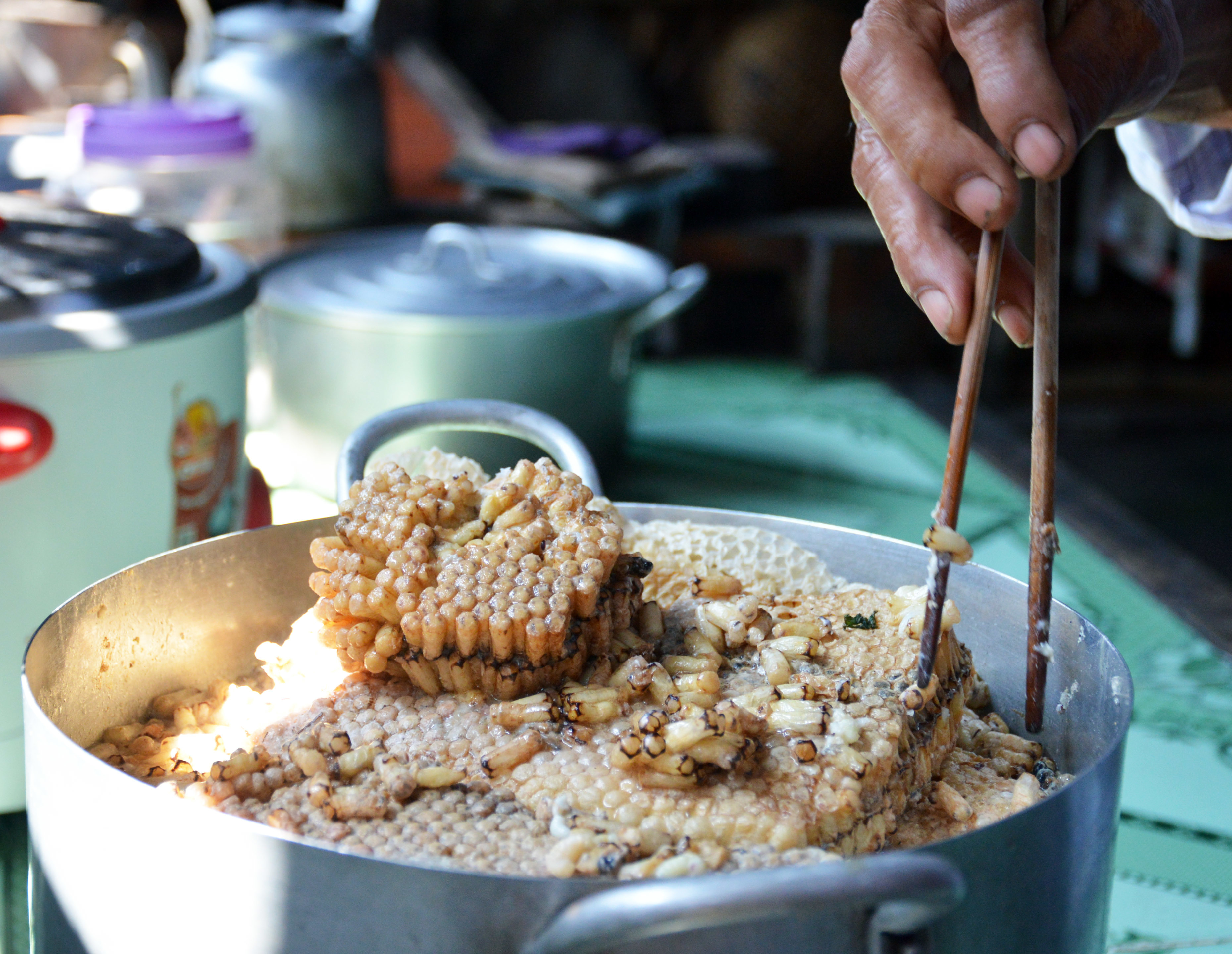 Luộc nhộng ong trước khi chế biến gỏi nhộng ong