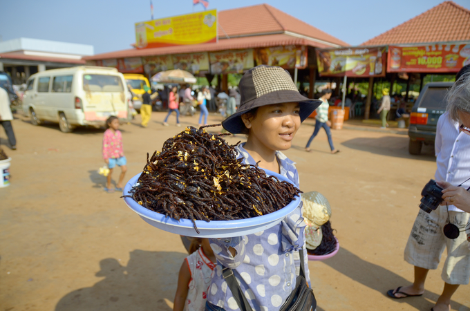 Nhện độc chiên Campuchia là đặc sản kinh dị nổi tiếng nhất