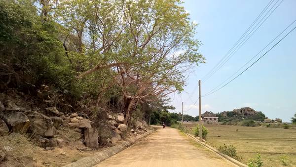 Lối vào khu du lịch Hang Rái Ninh Thuận