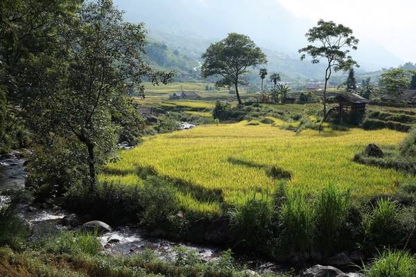 Thử thách ruộng bậc thang trên đường đua marathon Sapa
