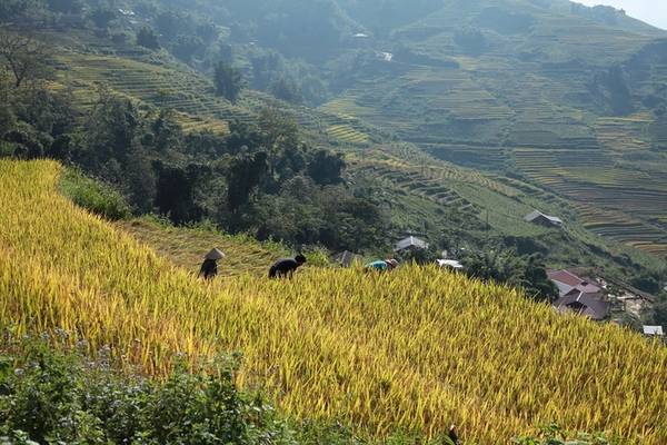 Du khách quốc tế lần đầu chạy đường đua marathon Sapa