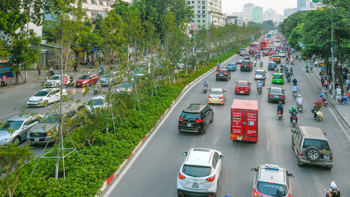 Ở Hà Nội, có hàng trăm cây phong được trồng từ hồi tháng một và đang phát triển khá tốt. Nếu thời tiết thuận lợi và cây được chăm sóc tốt, người dân sẽ được trải nghiệm khung cảnh hàng phong chuyển màu như ở các nước ôn đới.