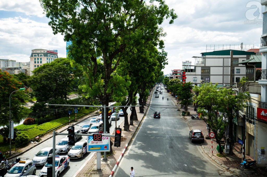Cây cổ thụ che nắng cho cư dân dọc con đường rợp bóng cây Đường Láng
