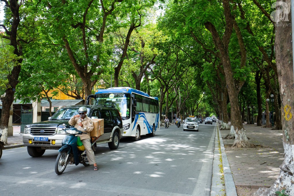 Đoạn ngã 4, ngã 3 đèn đỏ, chẳng ai nóng vội, vội vàng mà cứ thư thái chờ đợi. Biết đâu, có người lại chỉ muốn kéo dài ra thêm vài giây để tận hưởng nốt cái mát mẻ, xanh tươi hiếm hoi của thành phố những ngày này.