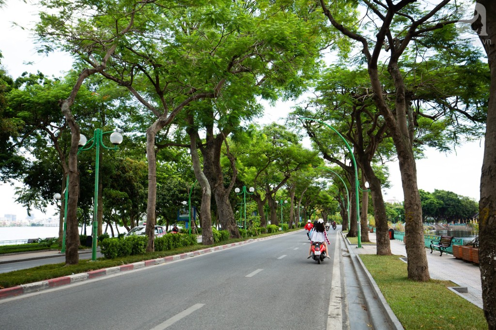 Hai hàng phượng vĩ hai bên đường đan xen với những cây cổ thụ khác khiến cho không khí ở đây dịu mát hơn hẳn những khu chung cư, nhà cao tầng hầm hập hơi nóng.