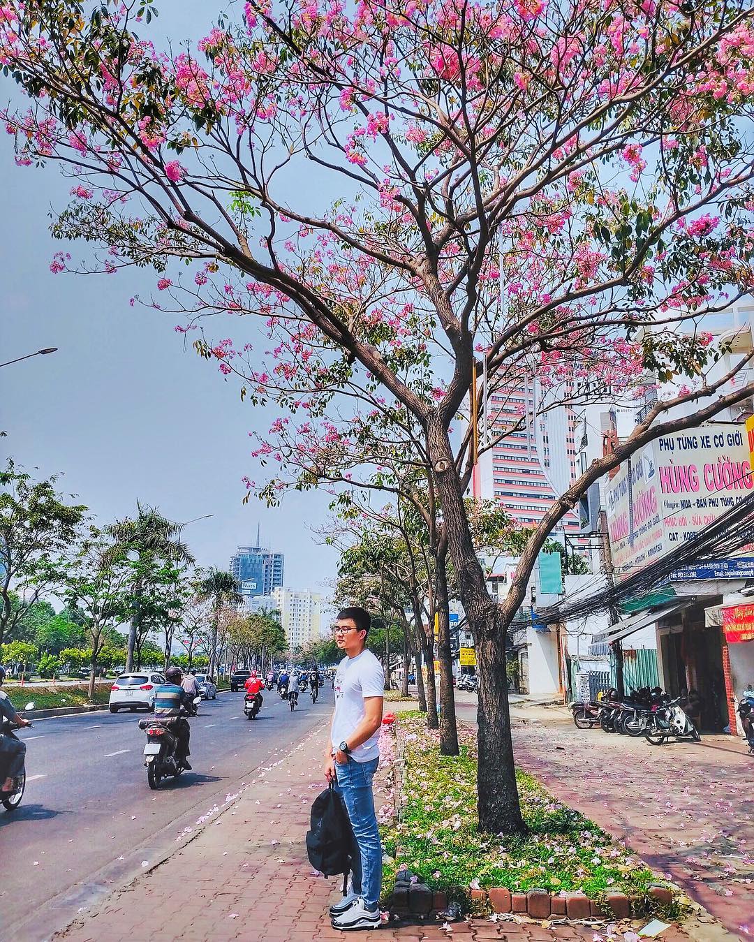 Hoa kèn hồng Sài Gòn mọc thành chùm trên cành