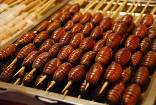 Nhộng tằm là đặc sản khó ăn được ví như liều thuốc tốt cho sức khỏe. Ảnh: Theeverydaymagic.