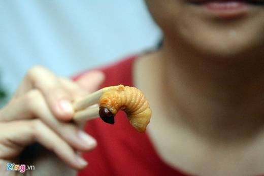 Đuông là đặc sản khó ăn với hình ảnh những con đuông đang chuyển động khiến nhiều người chào thua. Ảnh: Lê Quân.