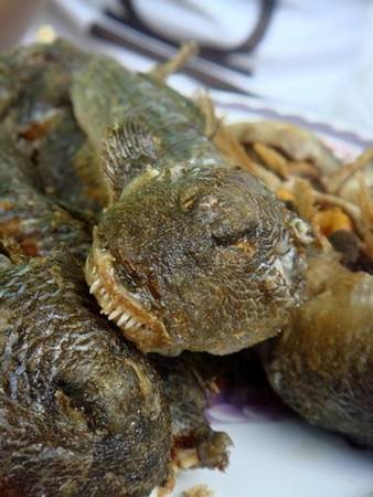 Cá thòi lòi là đặc sản khó ăn được chế biến chiên giòn hoặc kho nước dừa tại Bạc Liêu. Ảnh: Nguyễn Thanh Hiền.