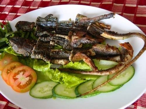 Dông là đặc sản khó ăn của Bình Thuận, thường được chế biến gỏi, nấu canh hoặc nướng muối. Ảnh: Vov4.