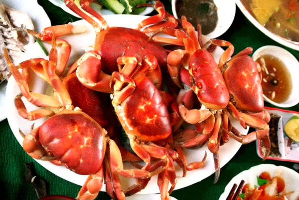 Cù kỳ đặc sản Cô Tô