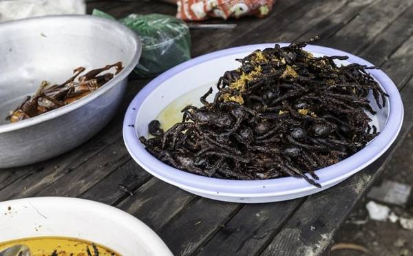 Nhện Tarantula - Đặc sản côn trùng Campuchia Thái Lan