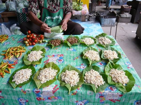 Trứng kiến - Đặc sản côn trùng Đông Nam Á