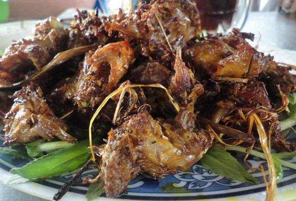 Chuột đồng xào sả ớt cay nồng hấp dẫn